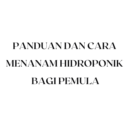 Panduan dan Cara Menanam Hidroponik Paling lengkap Bagi Pemula